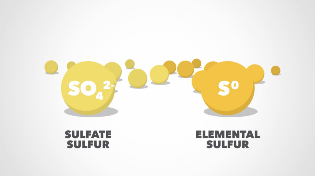 Sulfate sulfur and elemental sulfur.